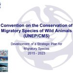 13th Conference of Parties (COP) of the Convention on the conservation of migratory species of wild animals (CMS),