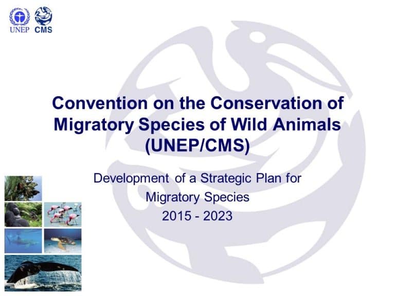 13th Conference of Parties (COP) of the Convention on the conservation of migratory species of wild animals (CMS),