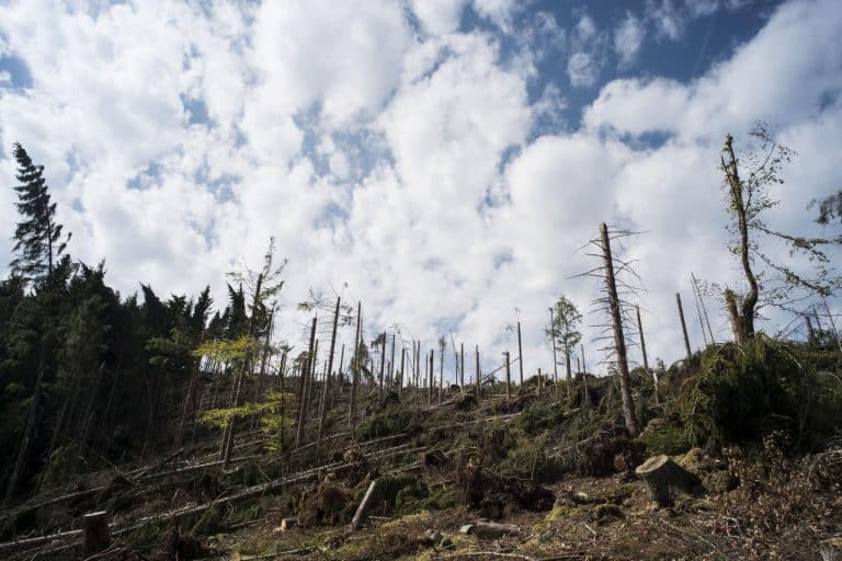 Climate goals of the Paris Agreement Impact of land use