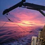 Coastal waters are unexpected hotspots