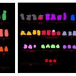 In surprising reversal, scientists