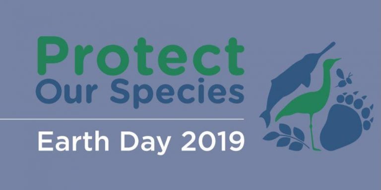 Earth Day 2019 Theme- Protect Our Species