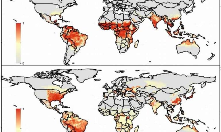 Forecasting mosquitoes' global spread