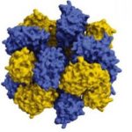 Supercomputers help supercharge protein assembly