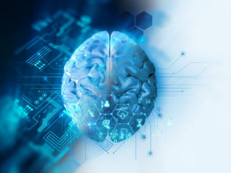 Young people at risk of addiction have differences in key brain region