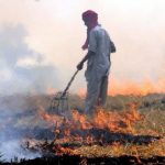 Crop residue burning is a major contributor to air pollution