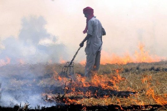 Crop residue burning is a major contributor to air pollution