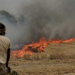 India's stubble burning air pollution causes USD 30 billion economic losses, health risks