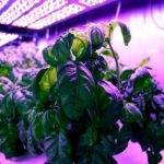 The future of agriculture is computerized