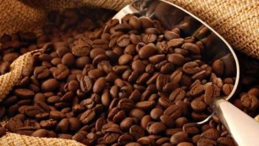 five varieties of Indian coffee