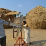 swapping crops could save water and improve nutrition