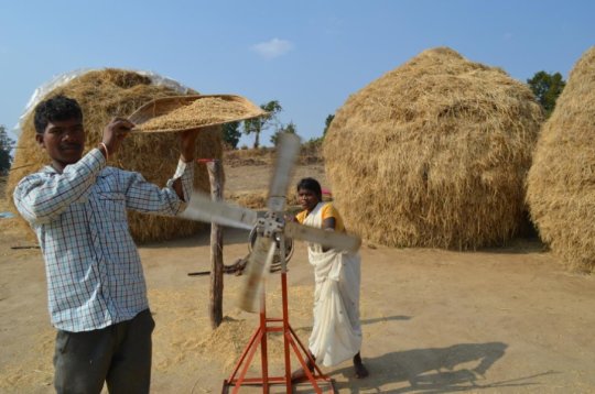 swapping crops could save water and improve nutrition