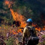 Fundamental challenges of living with wildfire