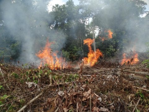 Geography study finds hot days lead to wildfires