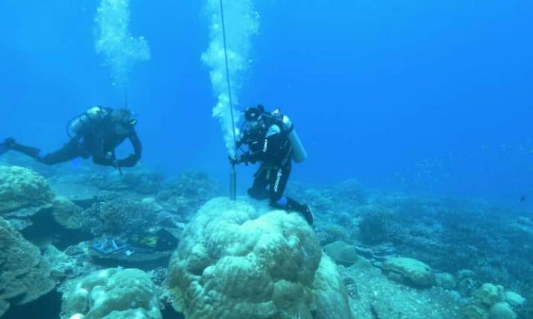 Impossible' research produces 400-year El Niño record, revealing startling changes