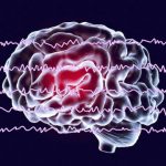 Memories are strengthened via brainwaves
