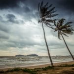 Ocean activity is key controller of summer monsoons