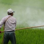 Study finds that USA lags behind EU, Brazil & China in banning harmful pesticides