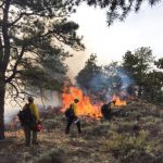A drier future sets the stage for more wildfires