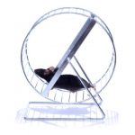 A short bout of exercise enhances brain function