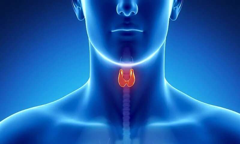 Are doctors treating more thyroid cancer patients than necessary
