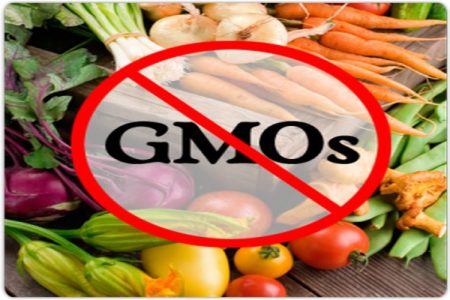 BAN on GM CROPS