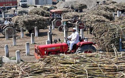 Payment of Dues to Sugarcane-Growing Farmers