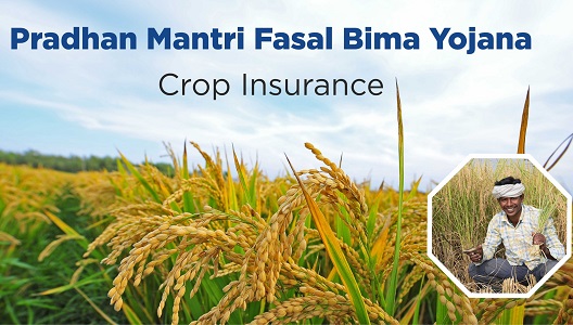 Pradhan Mantri Fasal Bima Yojana (PMFBY)