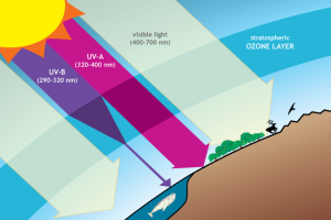 Study finds the Ozone Threat from climate change