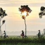 Study shows that when more women make decisions, the envirStudy shows that when more women make decisions, the environment winsnment wins