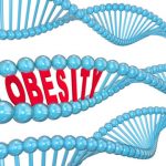 What made humans 'the fat primate