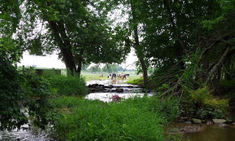 Are we really protecting rivers from pollution