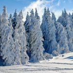 Back-to-back low snow years will become more common