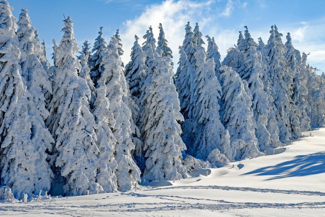 Back-to-back low snow years will become more common