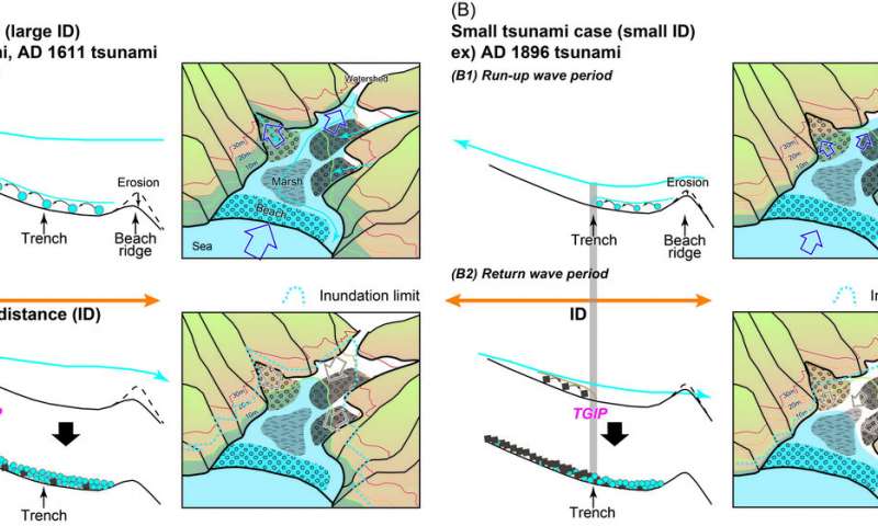 Deducing the scale of tsunamis from the 'roundness'