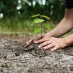 How we care for the environment may have social consequences