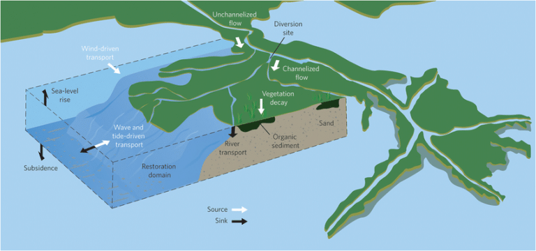 Mississippi River diversions, Driving land gain or land loss