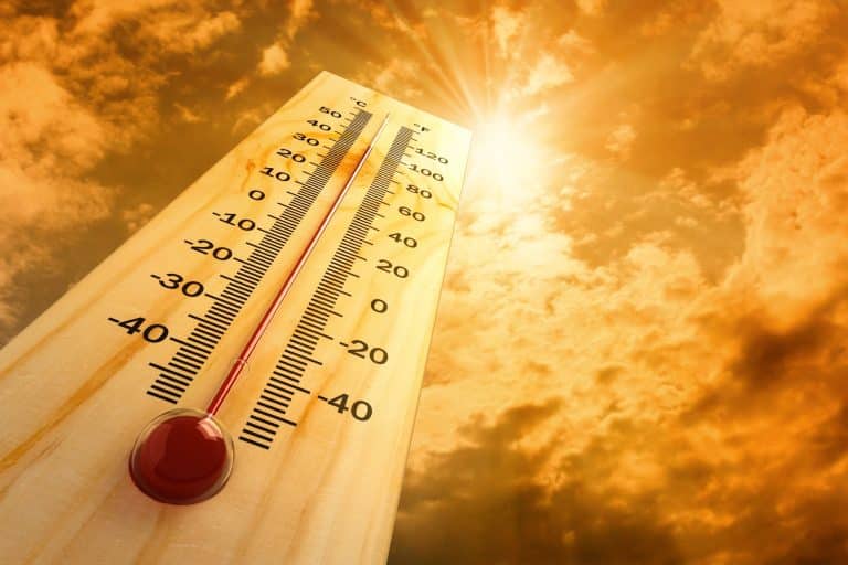 Sizzling Southwest summers can cause pavement burns in seconds