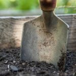 Soil pore structure is key to carbon storage