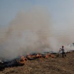 To conserve water, Indian farmers fire up air pollution