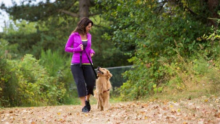 Your heart's best friend Dog ownership associated with better cardiovascular health