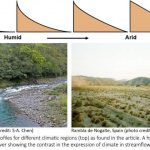 Climate signature identified in rivers globally