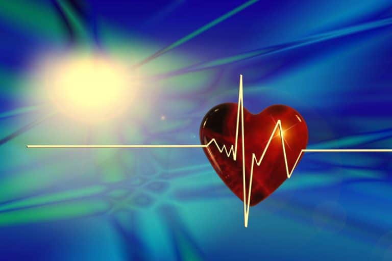 Decline in sports-related sudden cardiac death linked with rise in bystander resuscitation