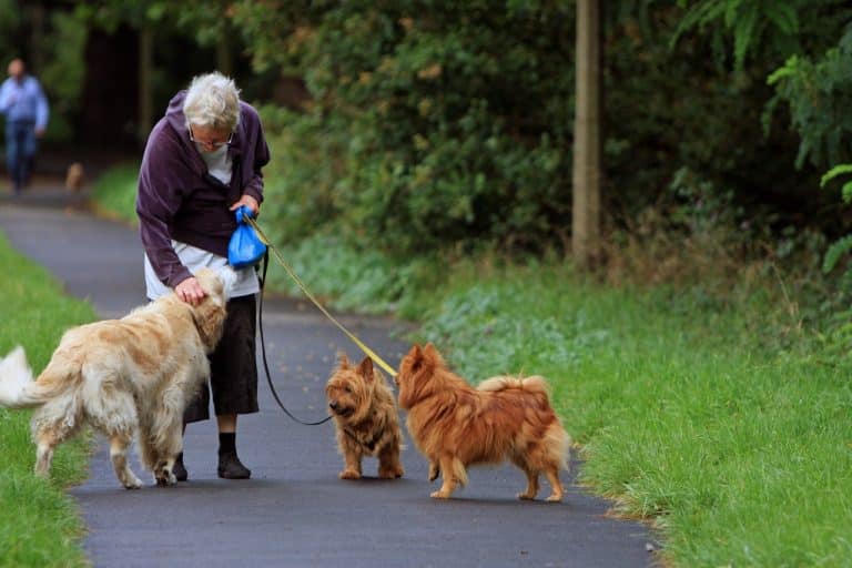 Furry friends ease depression, loneliness after spousal loss