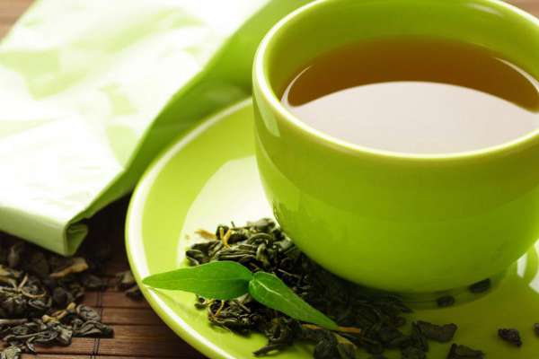 Green tea could hold the key to reducing antibiotic resistance