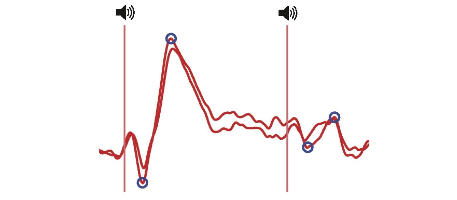 How our brain filters sounds