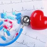 Human hearts evolved for endurance