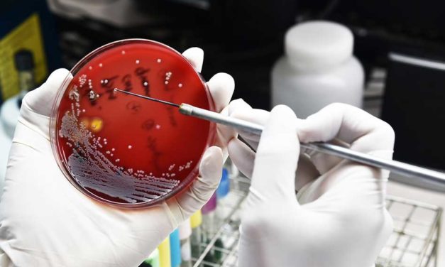 India joins the Global Antimicrobial Resistance Research and Development Hub