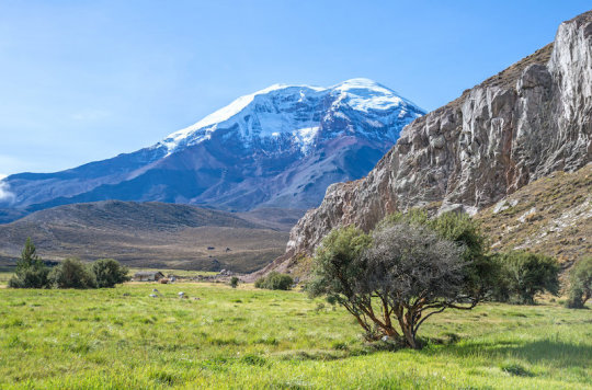 Why is Earth so biologically diverse