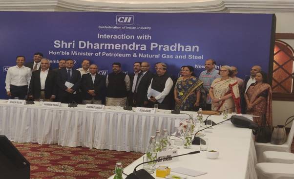 harmendra Pradhan holds consultations with CEOs of steel industry